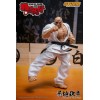 Storm Collectibles - Baki Hanma: Son of Ogre - DOPPO OROCHI