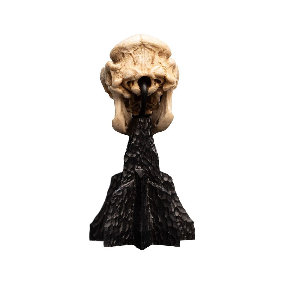 Weta - The Lord of the Rings - Skull of a Cave Troll - LOTR