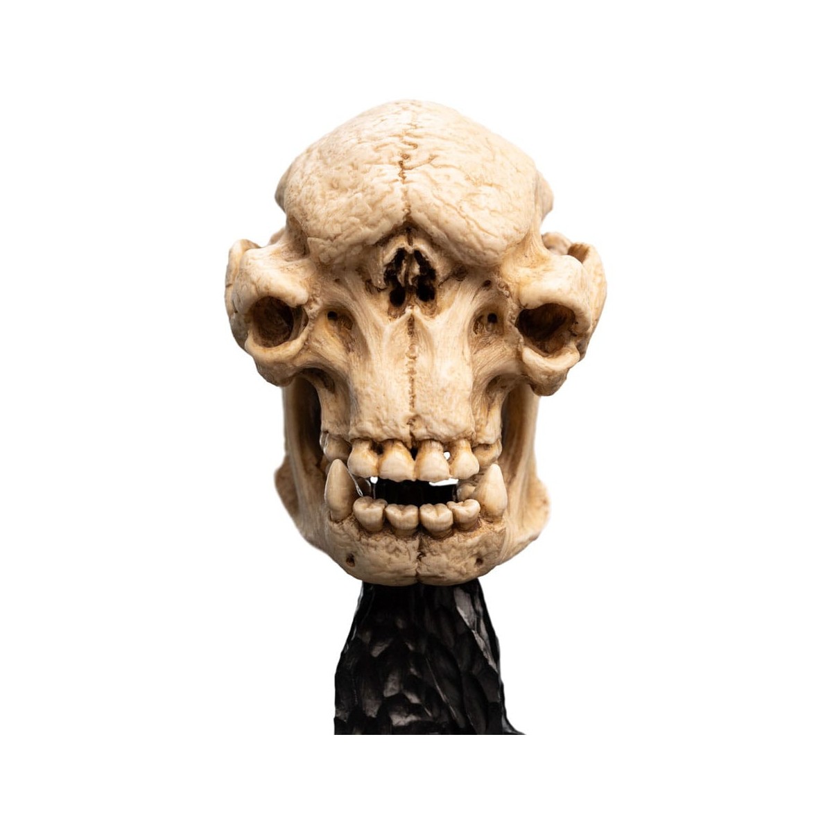 Weta - The Lord of the Rings - Skull of a Cave Troll - LOTR