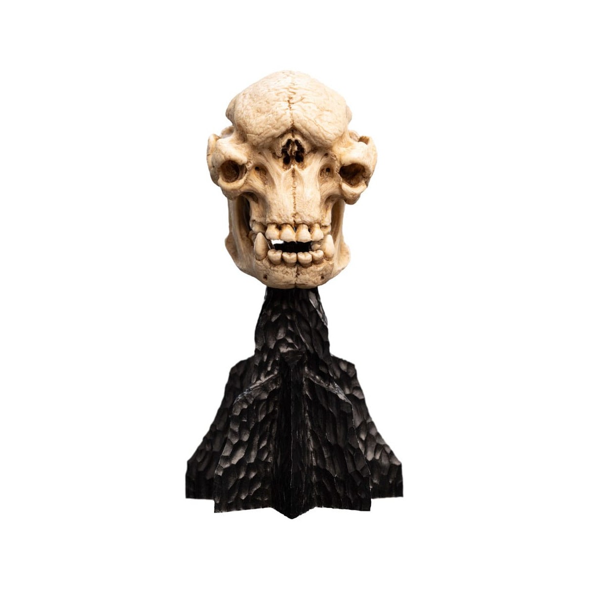 Weta - The Lord of the Rings - Skull of a Cave Troll - LOTR