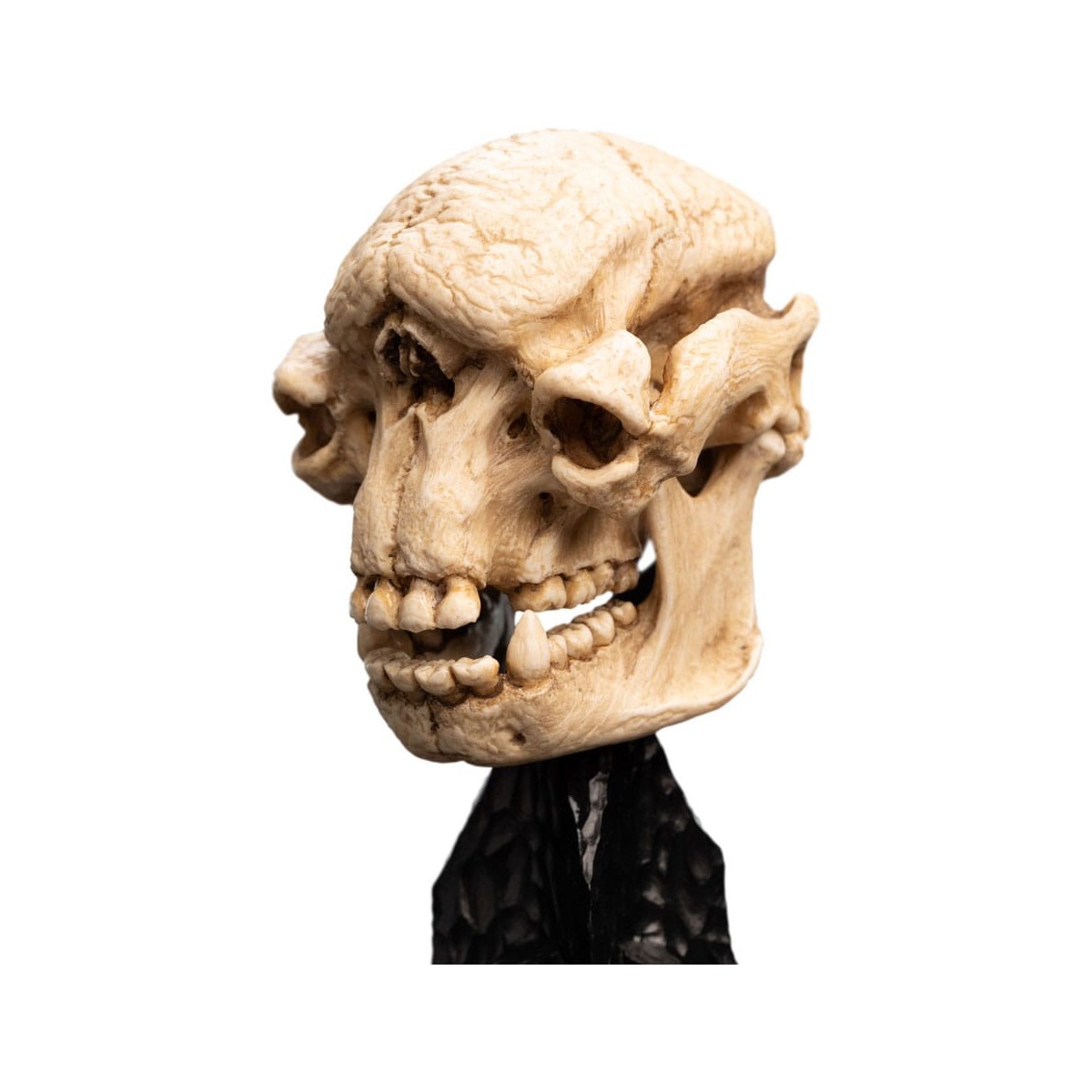 Weta - The Lord of the Rings - Skull of a Cave Troll - LOTR