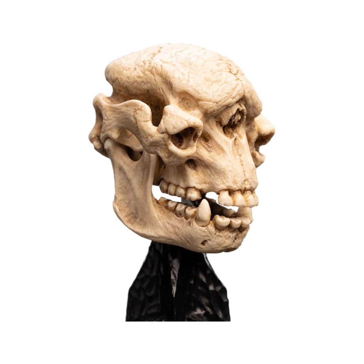 Weta - The Lord of the Rings - Skull of a Cave Troll - LOTR