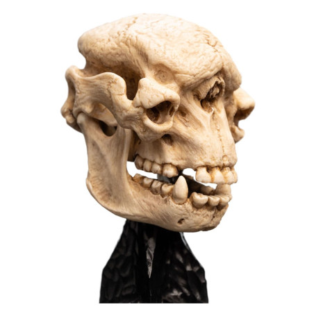 Weta - The Lord of the Rings - Skull of a Cave Troll - LOTR