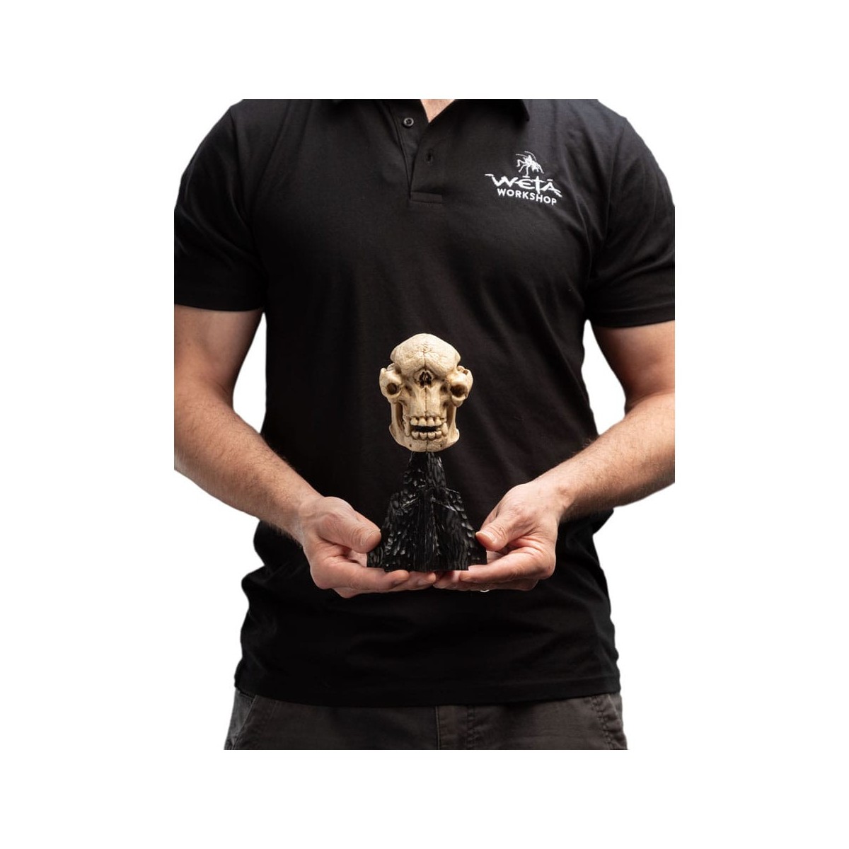 Weta - The Lord of the Rings - Skull of a Cave Troll - LOTR