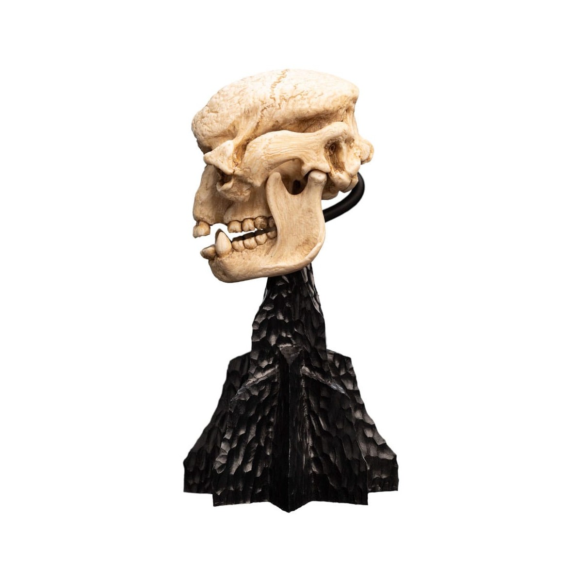Weta - The Lord of the Rings - Skull of a Cave Troll - LOTR