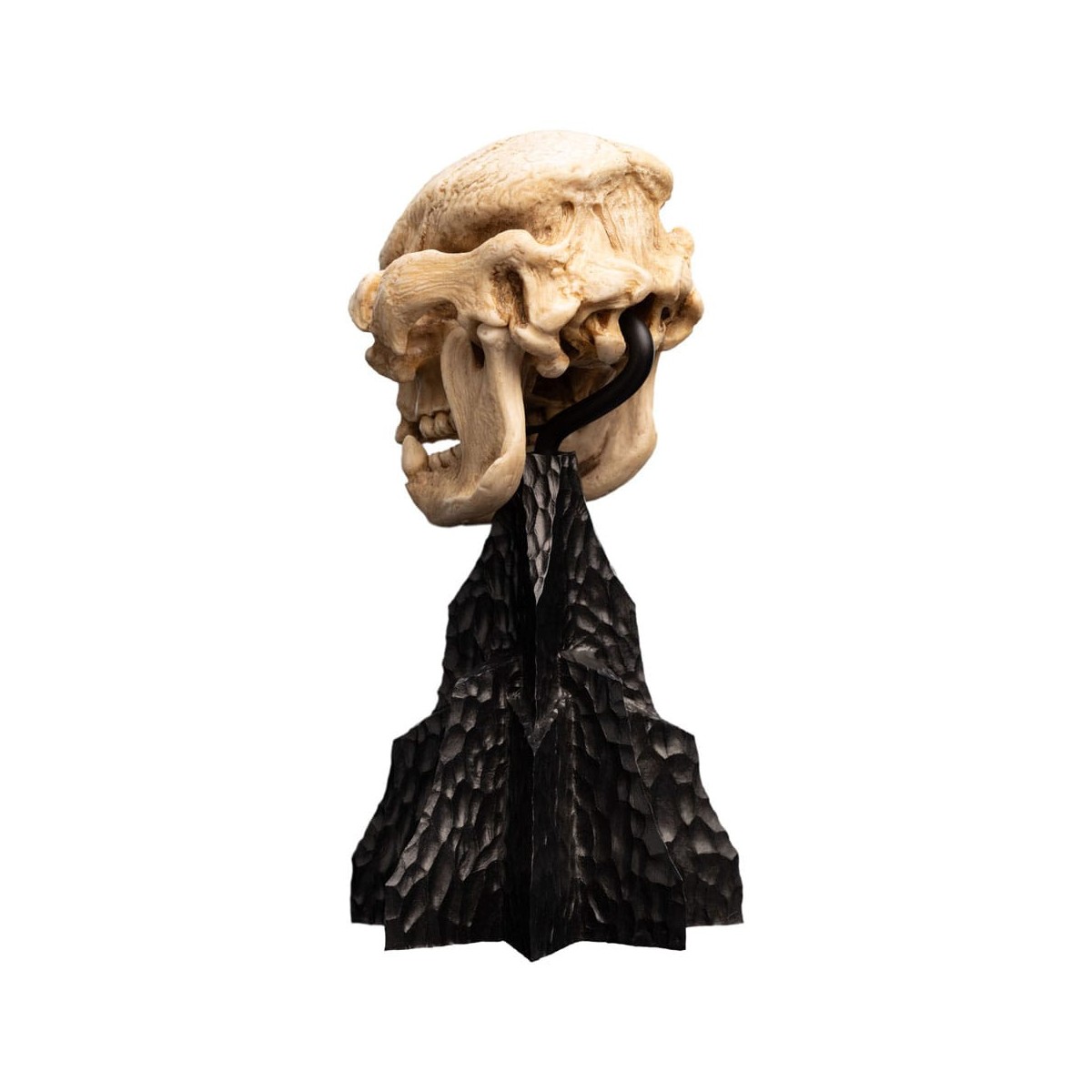 Weta - The Lord of the Rings - Skull of a Cave Troll - LOTR