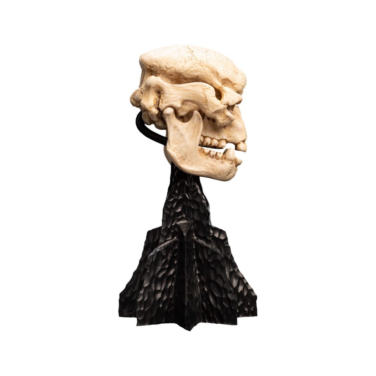 Weta - The Lord of the Rings - Skull of a Cave Troll - LOTR