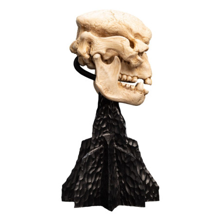 Weta - The Lord of the Rings - Skull of a Cave Troll - LOTR