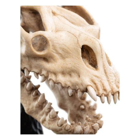 Weta - The Lord of the Rings - Skull of a Fell Beast - LOTR