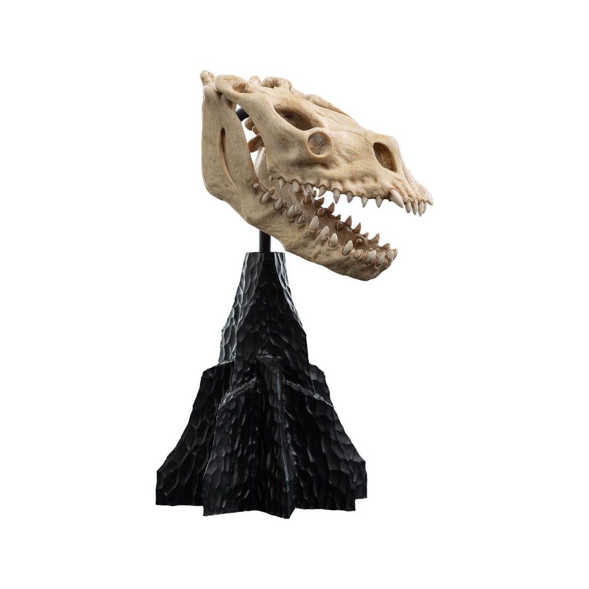 Weta - The Lord of the Rings - Skull of a Fell Beast - LOTR