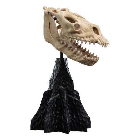Weta - The Lord of the Rings - Skull of a Fell Beast - LOTR