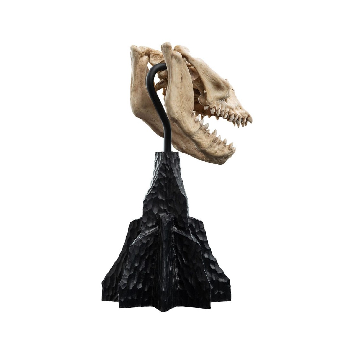 Weta - The Lord of the Rings - Skull of a Fell Beast - LOTR