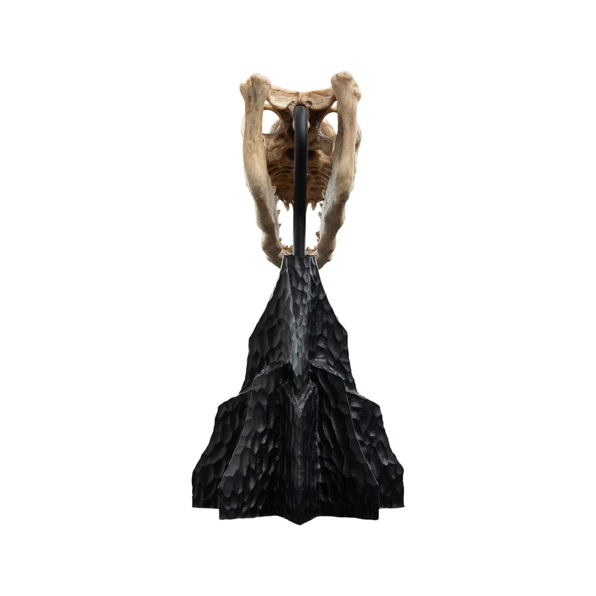 Weta - The Lord of the Rings - Skull of a Fell Beast - LOTR