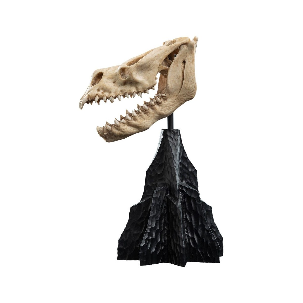 Weta - The Lord of the Rings - Skull of a Fell Beast - LOTR