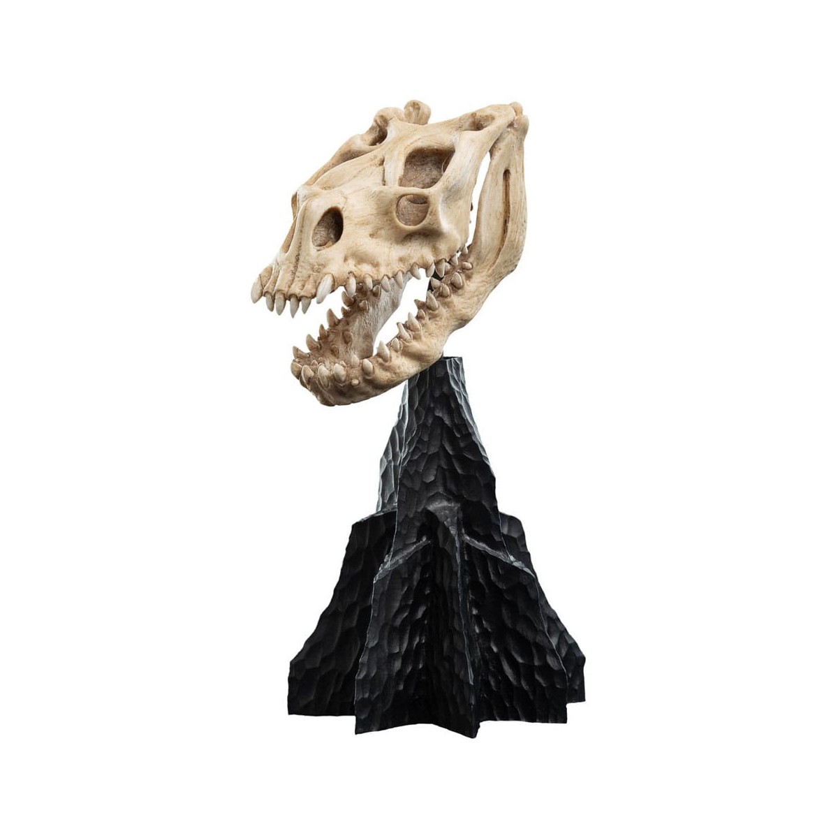 Weta - The Lord of the Rings - Skull of a Fell Beast - LOTR