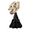 Weta - The Lord of the Rings - Skull of a Fell Beast - LOTR