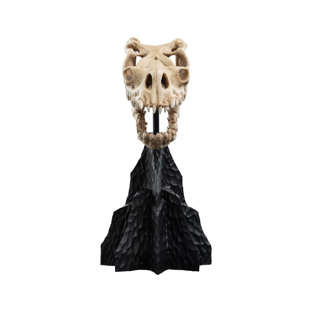 Weta - The Lord of the Rings - Skull of a Fell Beast - LOTR