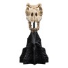 Weta - The Lord of the Rings - Skull of a Fell Beast - LOTR