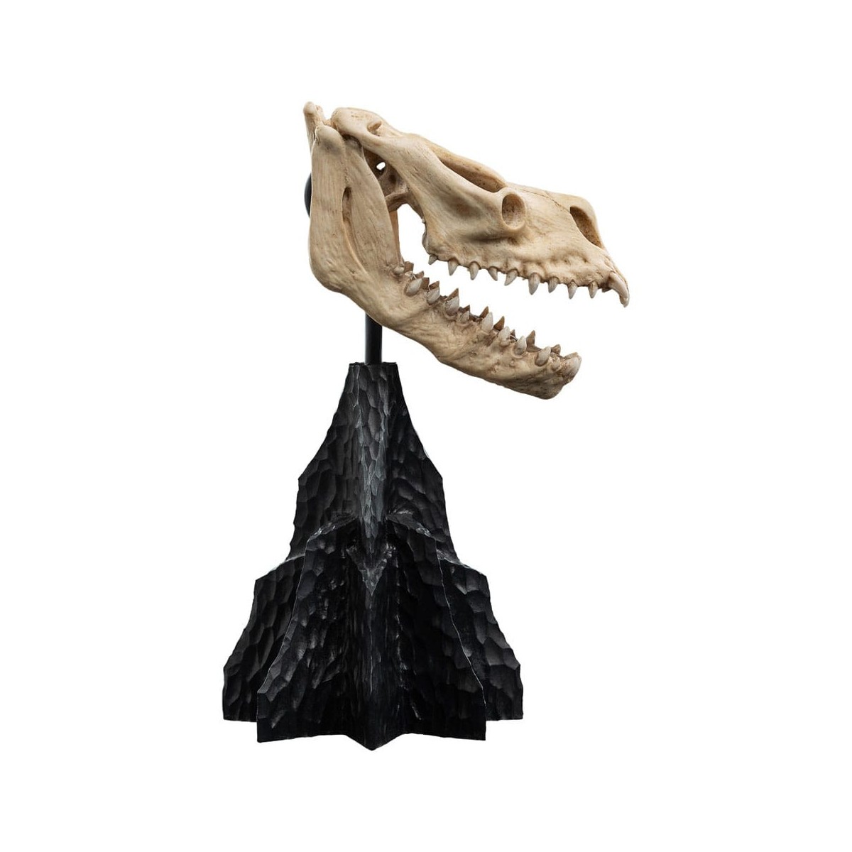Weta - The Lord of the Rings - Skull of a Fell Beast - LOTR