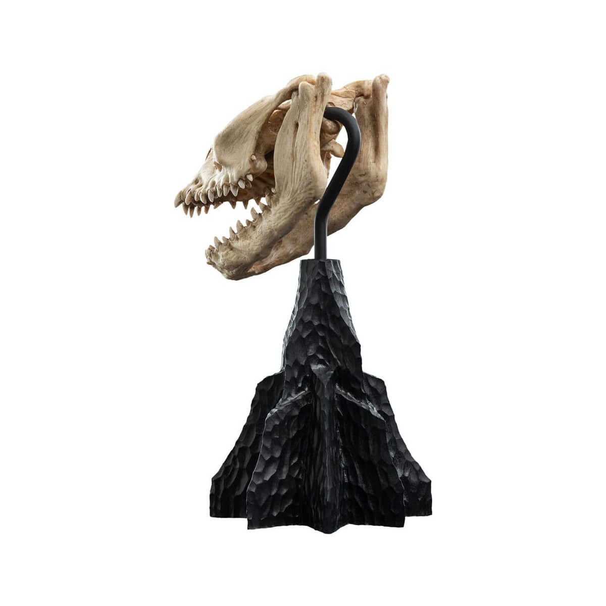 Weta - The Lord of the Rings - Skull of a Fell Beast - LOTR