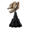 Weta - The Lord of the Rings - Skull of a Fell Beast - LOTR