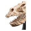 Weta - The Lord of the Rings - Skull of a Fell Beast - LOTR