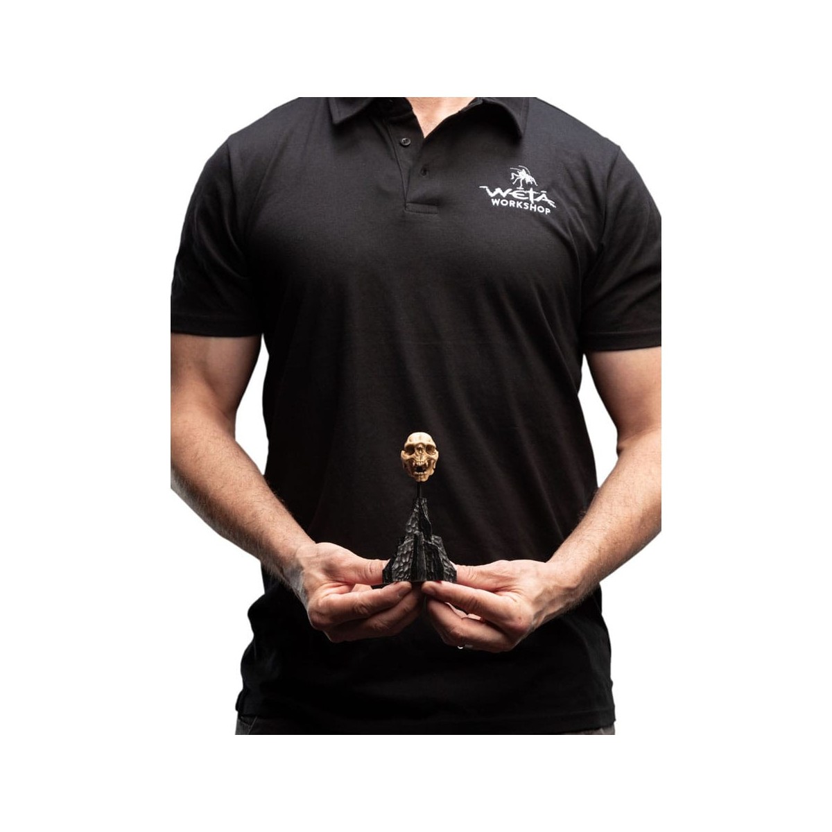 Weta - The Lord of the Rings - Skull of a Moria Orc - LOTR