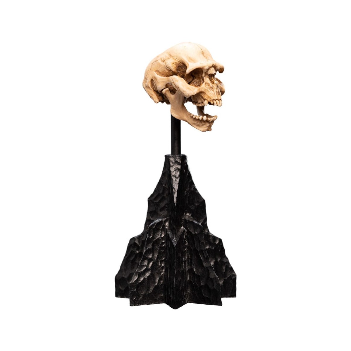 Weta - The Lord of the Rings - Skull of a Moria Orc - LOTR