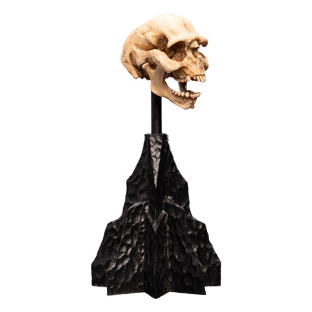 Weta - The Lord of the Rings - Skull of a Moria Orc - LOTR
