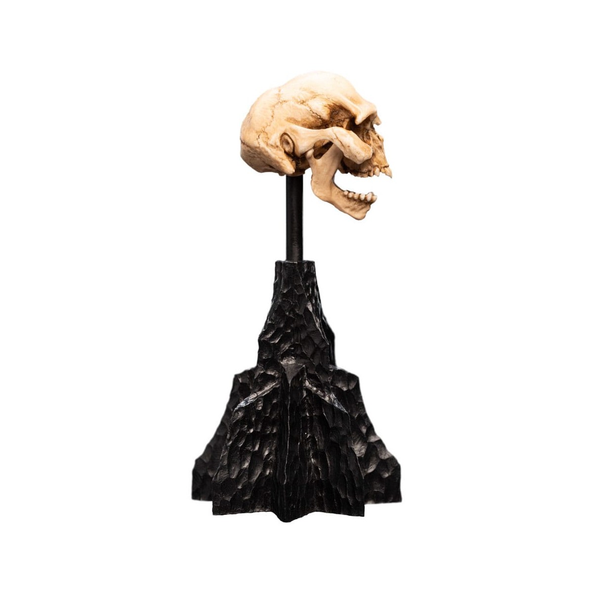 Weta - The Lord of the Rings - Skull of a Moria Orc - LOTR