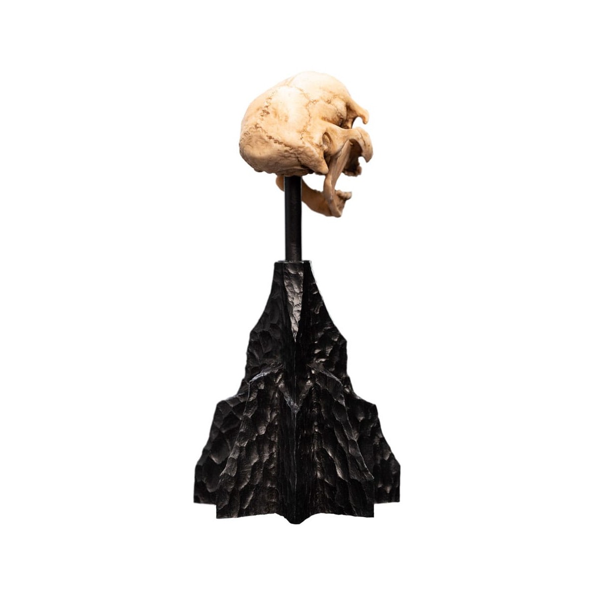 Weta - The Lord of the Rings - Skull of a Moria Orc - LOTR