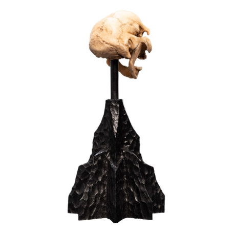 Weta - The Lord of the Rings - Skull of a Moria Orc - LOTR