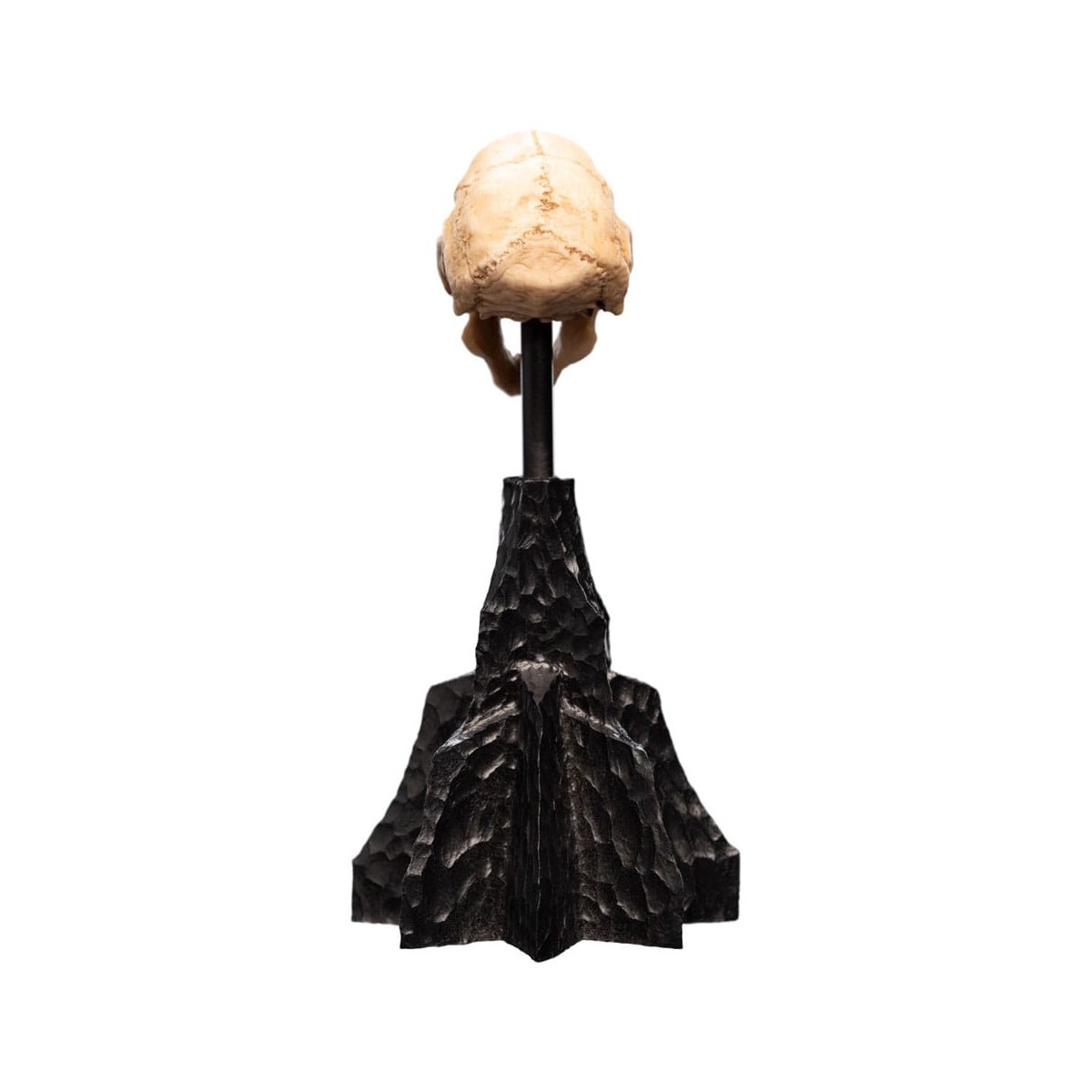 Weta - The Lord of the Rings - Skull of a Moria Orc - LOTR
