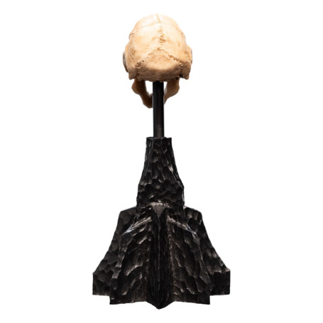 Weta - The Lord of the Rings - Skull of a Moria Orc - LOTR