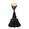 Weta - The Lord of the Rings - Skull of a Moria Orc - LOTR