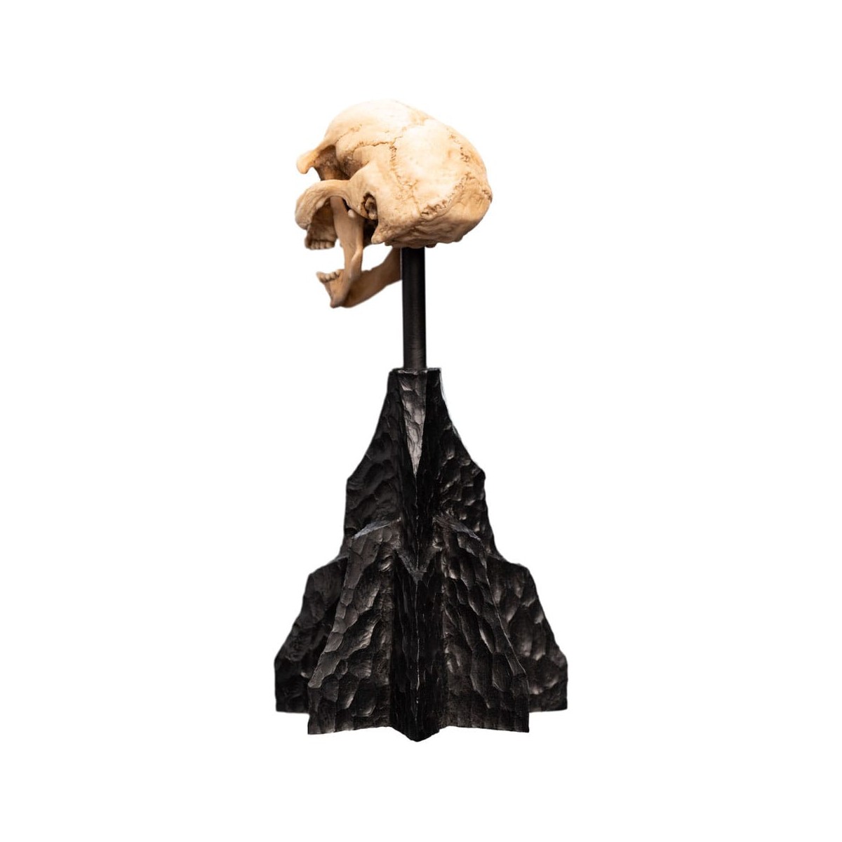 Weta - The Lord of the Rings - Skull of a Moria Orc - LOTR
