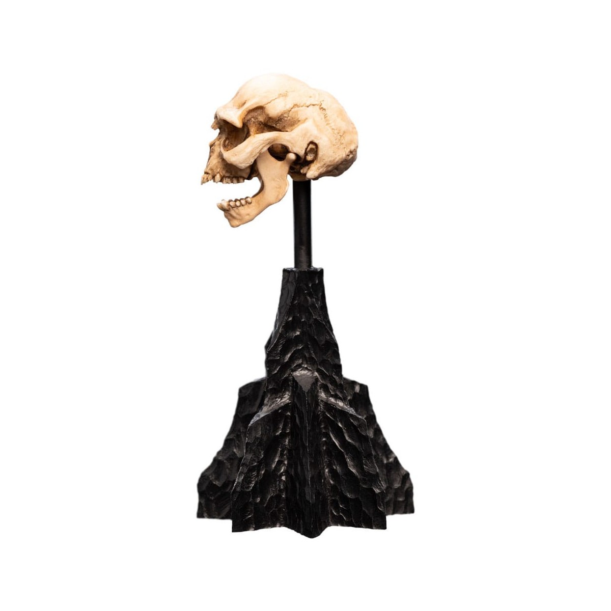 Weta - The Lord of the Rings - Skull of a Moria Orc - LOTR