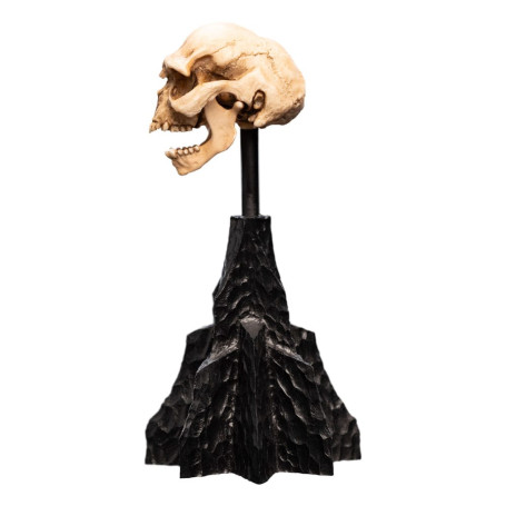Weta - The Lord of the Rings - Skull of a Moria Orc - LOTR