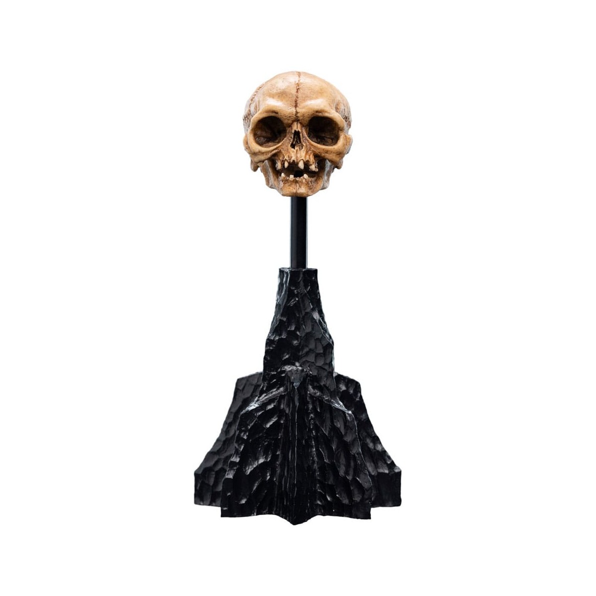 Weta - The Lord of the Rings - Skull of Gollum - LOTR