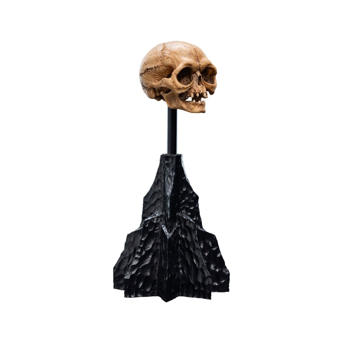 Weta - The Lord of the Rings - Skull of Gollum - LOTR