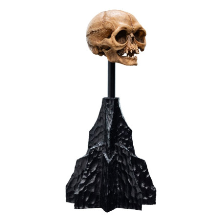 Weta - The Lord of the Rings - Skull of Gollum - LOTR