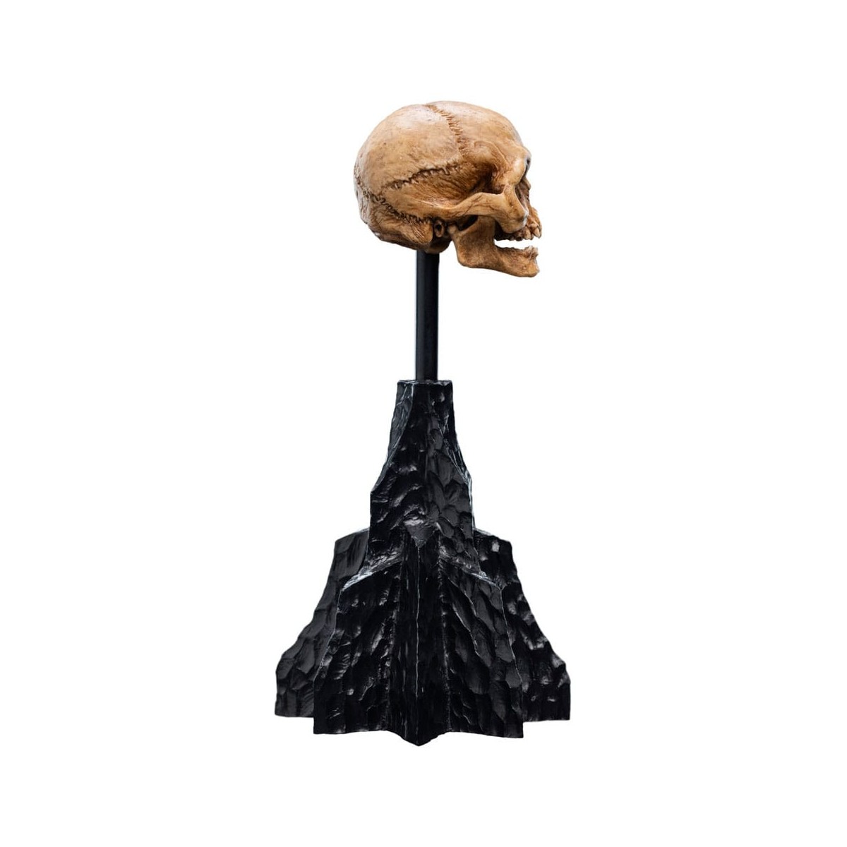 Weta - The Lord of the Rings - Skull of Gollum - LOTR