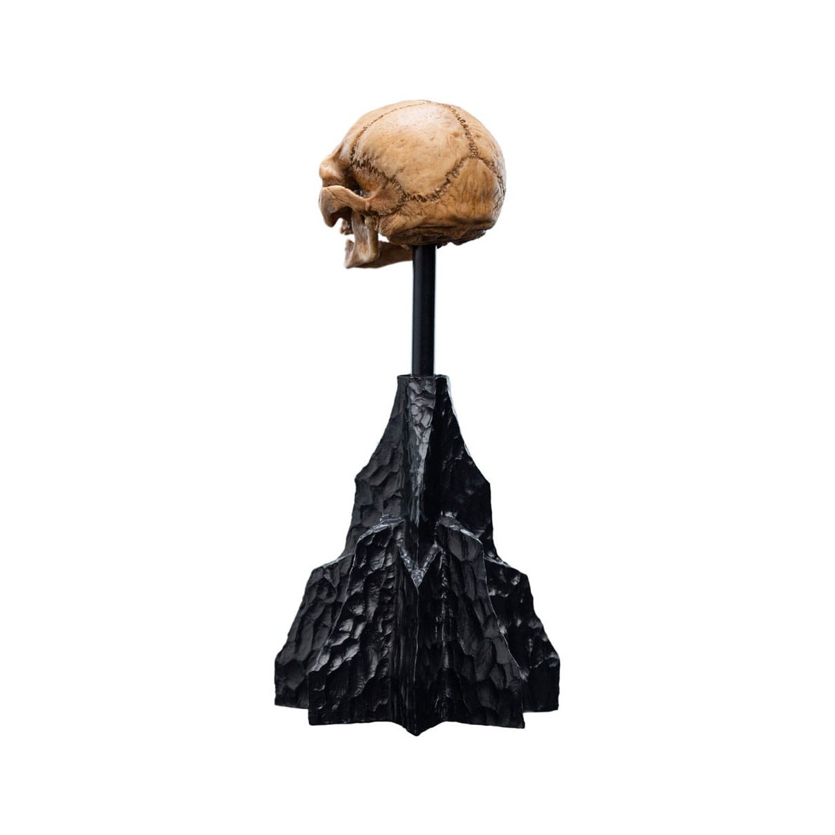 Weta - The Lord of the Rings - Skull of Gollum - LOTR