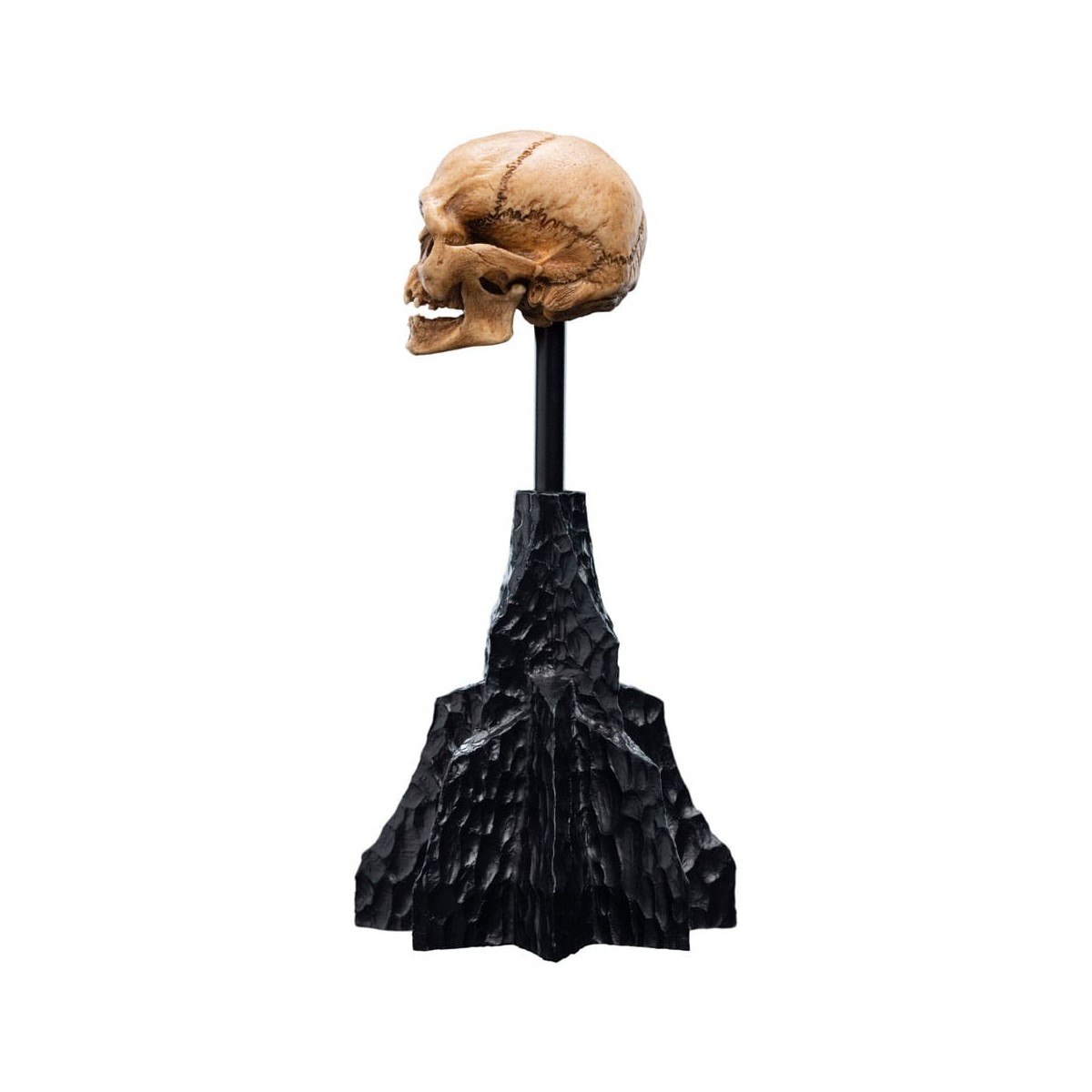 Weta - The Lord of the Rings - Skull of Gollum - LOTR