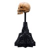 Weta - The Lord of the Rings - Skull of Gollum - LOTR