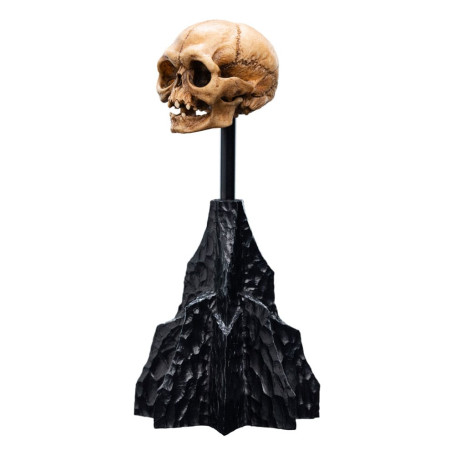 Weta - The Lord of the Rings - Skull of Gollum - LOTR