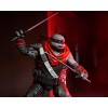 NECA - IDW Comics - Leonardo Nightwatcher - The Last Ronin The Lost Years - TMNT