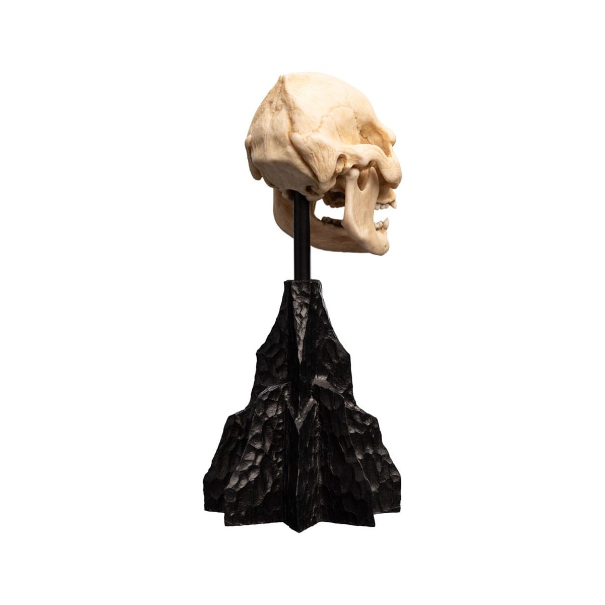 Weta - The Lord of the Rings - Skull of Lurtz - LOTR