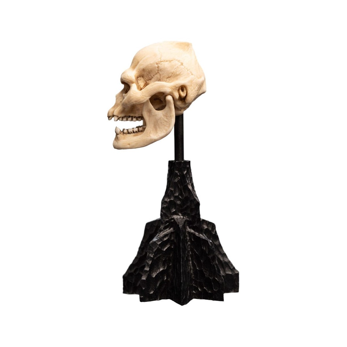 Weta - The Lord of the Rings - Skull of Lurtz - LOTR