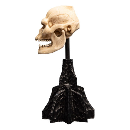 Weta - The Lord of the Rings - Skull of Lurtz - LOTR